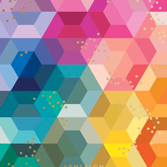 ✨ Erin Condren Budget & Notebook Bundle ✨ - Picture 9 of 16